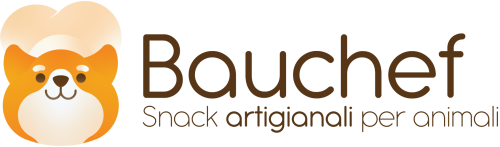 logo-bauchef-nuovo_Tavola-disegno-1